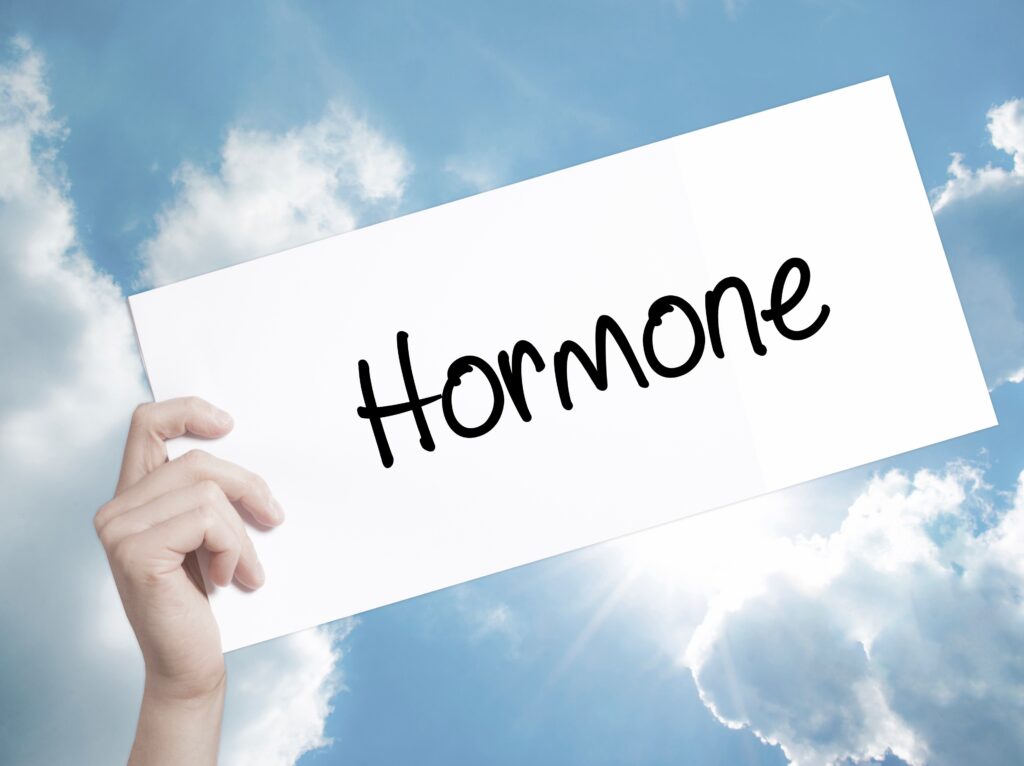 Hormone Life Balance Hormone verstehen und Lebensthemen lösen